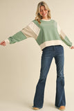 Color Block Cropped Sweatshirt Top